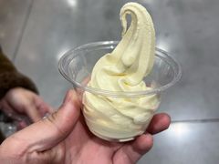 -麦德龙(浦东店)