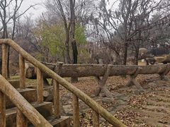 -沈阳植物园