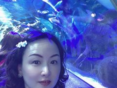 -大连圣亚海洋世界