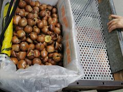 -金栗王(清扬路店)