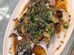 -永記粤菜·五指毛桃花雕鸡煲(九亭店)