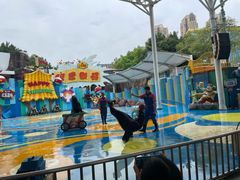 -海合安成都极地海洋公园