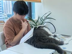 -猫音日语留学培训