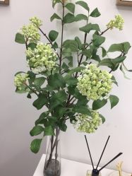 点击看大图 -时光海科学美肤中心