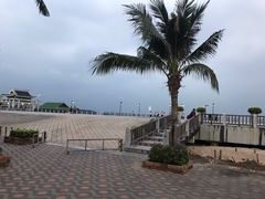 -兰坡海鲜市场