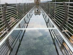 -客天下恐龙水晶玻璃桥