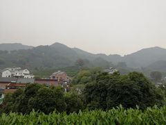 -龙井村