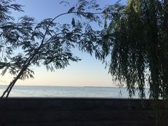 -湖鲜楼
