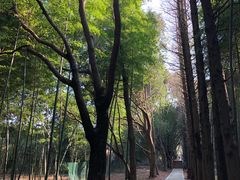 -同里国家湿地公园