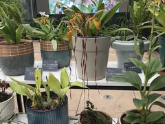 -国家植物园南园