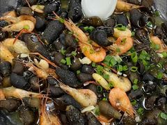 -广州白江湖森林公园