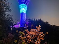 -狐尾山公园