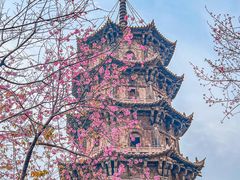 -西园戒幢律寺
