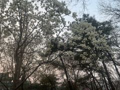 -皇城根遗址公园-东安门遗址