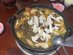-菌之家·专业纯野生菌火锅·特色炒菌