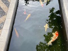 -西安市广仁寺