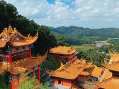 -东莞市大岭山森林公园