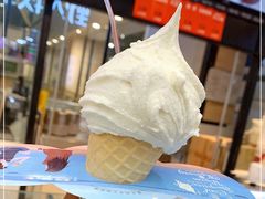 -野人先生现做冰淇淋(西安赛格店)