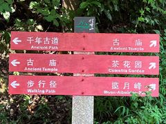 -广州市帽峰山景区