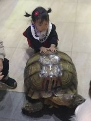 -未来动物城主题公园(正弘城店)