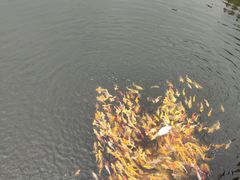 -沂蒙云瀑洞天景区