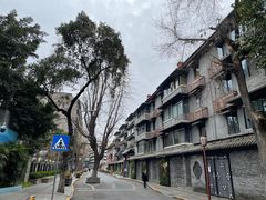 -泡桐树街