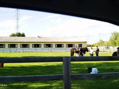 -北京群众马术培训基地