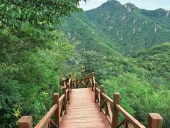 -大岭沟猕猴桃谷风景区
