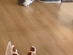 -猫腻·猫咖·撸猫馆(星光大道店)
