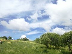 -御道口草原森林风景区
