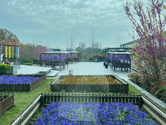 -太阳岛度假酒店