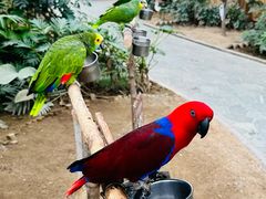 -南宫五洲植物乐园