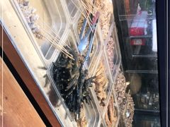 -老号尤兔头(幸福店)