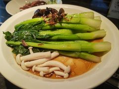 -新白鹿餐厅(虹桥南丰城店)