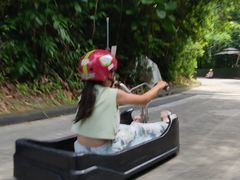 -圣淘沙天际线斜坡滑车