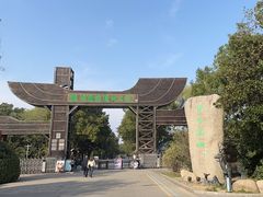 -溱湖国家湿地公园