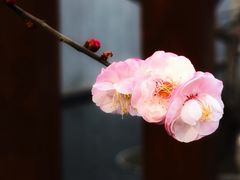 -静安雕塑公园
