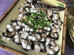 -亮河湾山庄