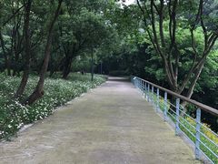 -西湖风景区-江洋畈生态公园