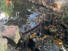 -兴福老面馆(寺路街店)