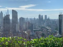 -上海波特曼丽思卡尔顿酒店
