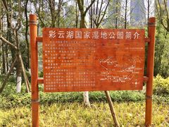 导游图-重庆彩云湖湿地公园