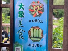 -野象谷景区