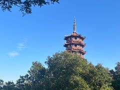 -大雁山风景区