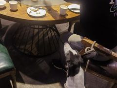 -滇越乘象云南餐厅(豆各庄店)