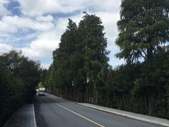 -金山农民画村-枫泾波兰倒置屋