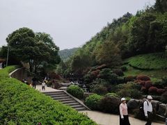 -桃花岭景区
