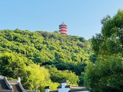 -惠山国家森林公园