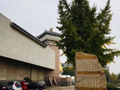 -兴隆文化园景区