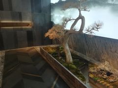 -悦秀·高级粤菜